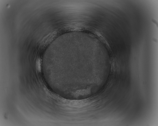 X0000100490026200807031927