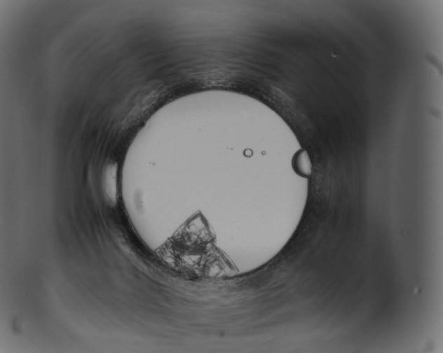 X0000100490028200807031927