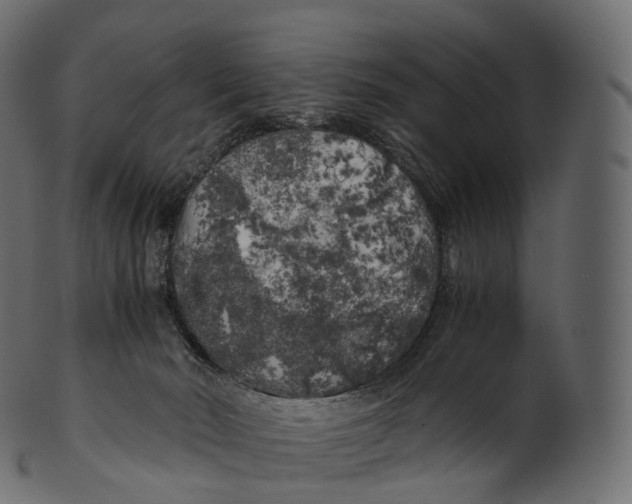 X0000100490030200807031927
