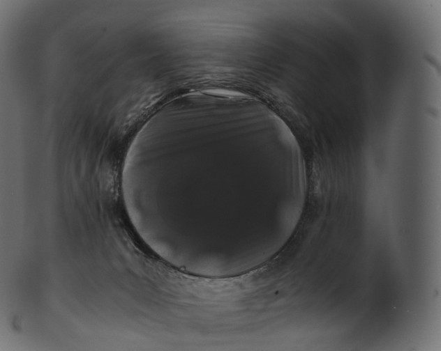 X0000100490031200807031927