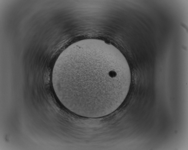 X0000100490032200807031927