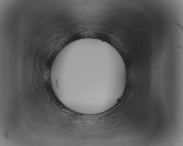 X0000100490033200807031927