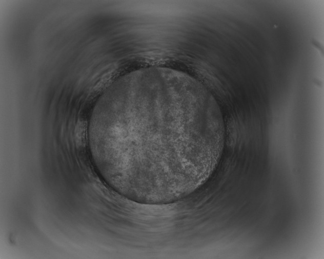 X0000100490034200807031927