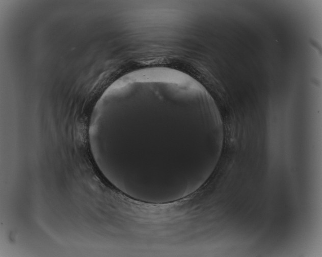 X0000100490035200807031927