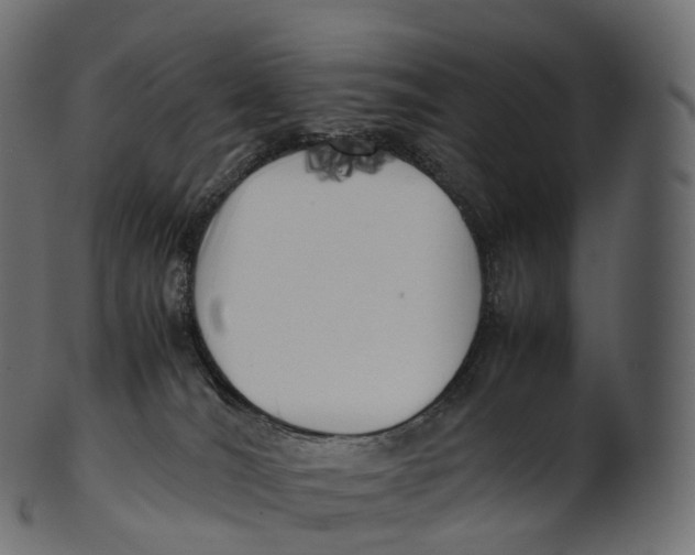 X0000100490036200807031927