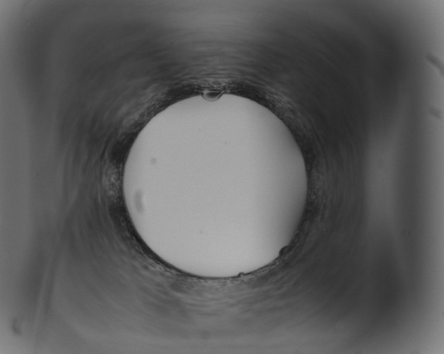 X0000100490037200807031927