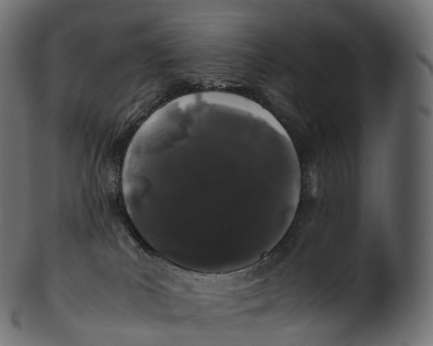 X0000100490039200807031927