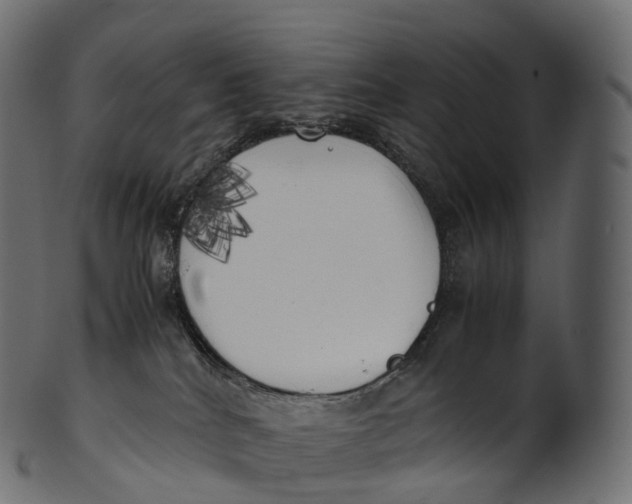 X0000100490040200807031927