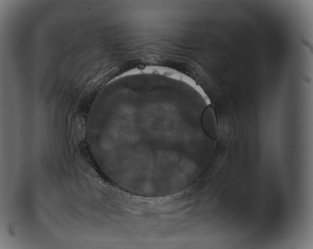 X0000100490043200807031927