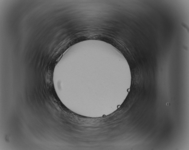 X0000100490044200807031927