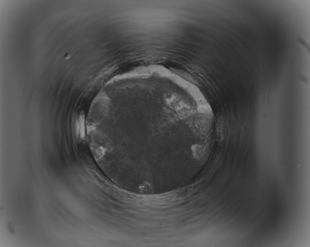 X0000100490046200807031927