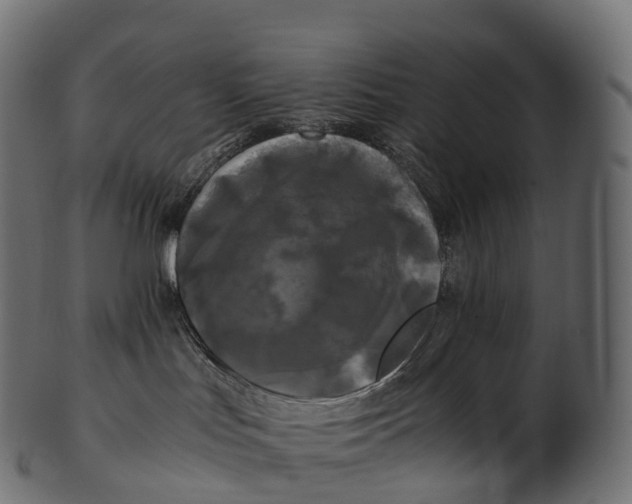 X0000100490047200807031927