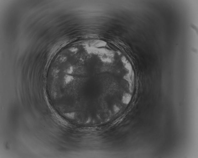 X0000100490049200807031926