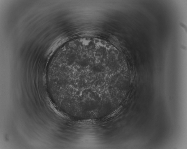 X0000100490050200807031926