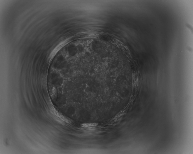 X0000100490051200807031926