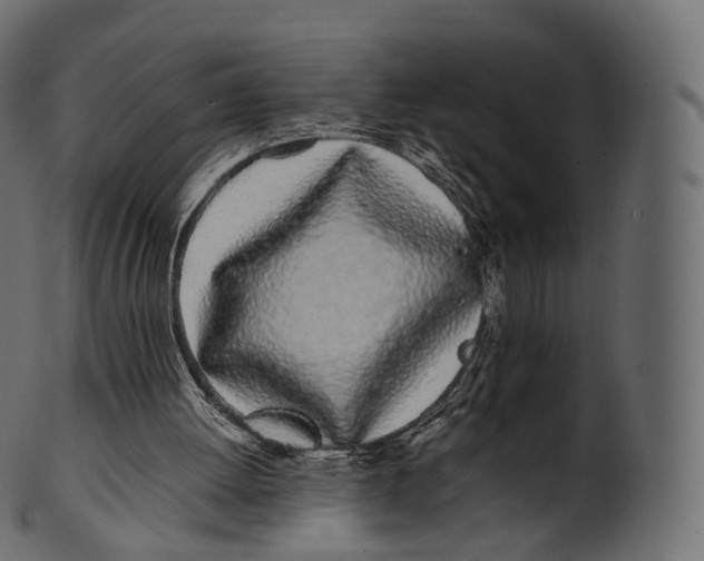 X0000100490052200807031926