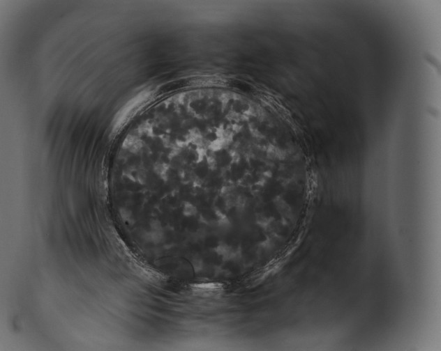 X0000100490053200807031926