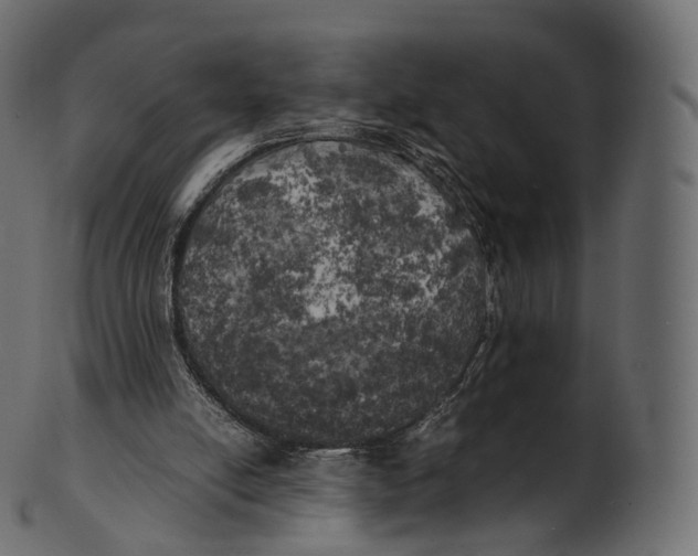 X0000100490054200807031926