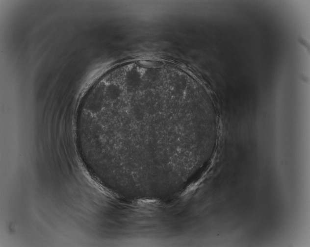 X0000100490055200807031926