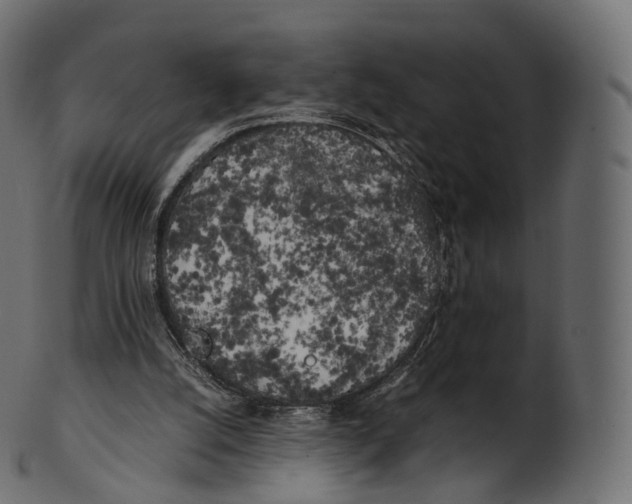 X0000100490056200807031926