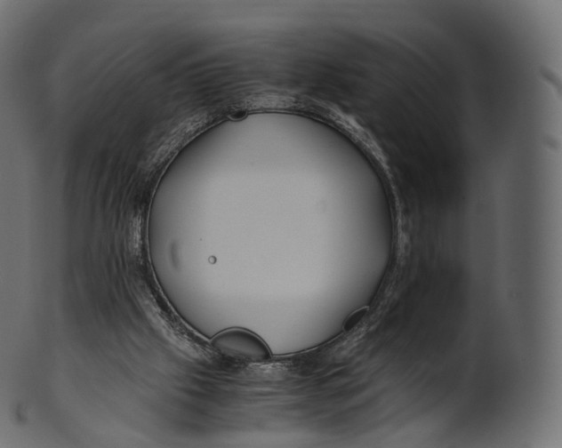 X0000100490057200807031926