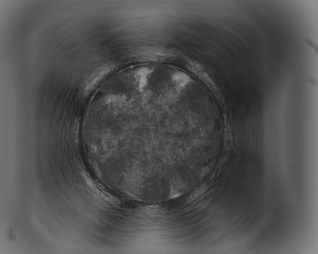 X0000100490058200807031926