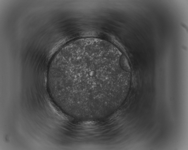 X0000100490059200807031926