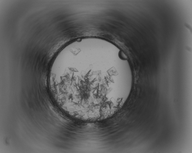 X0000100490060200807031926