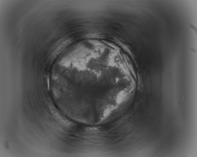 X0000100490061200807031926