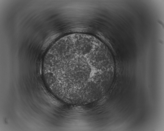 X0000100490062200807031926