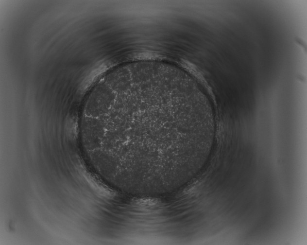 X0000100490063200807031926