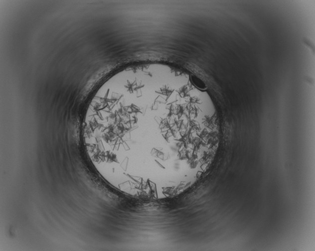 X0000100490064200807031926