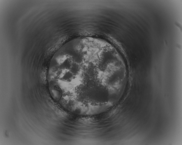 X0000100490065200807031926