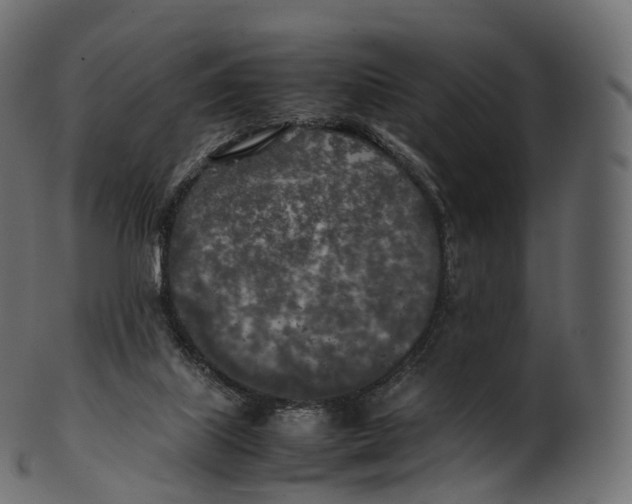 X0000100490067200807031926