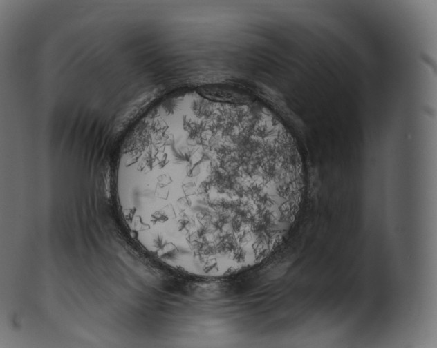 X0000100490068200807031926