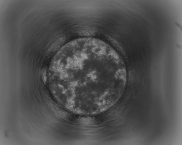 X0000100490069200807031926