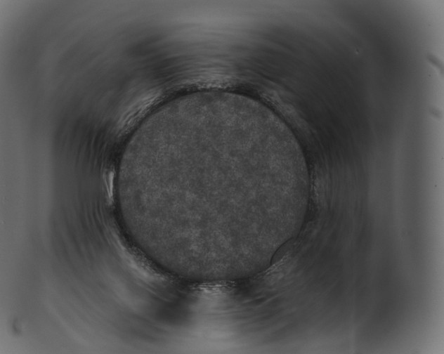 X0000100490070200807031926