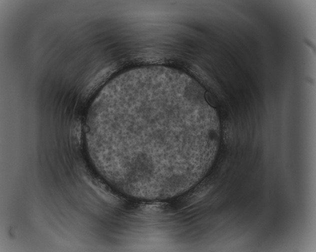 X0000100490072200807031926