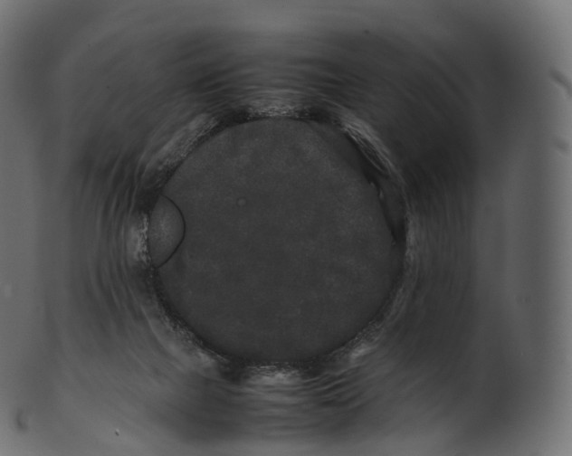 X0000100490073200807031926