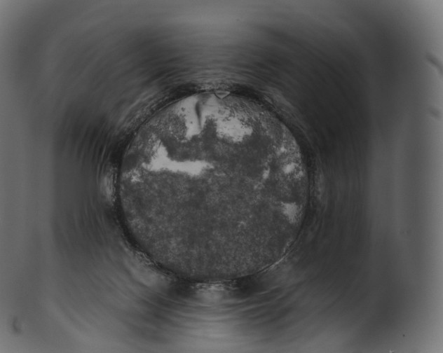 X0000100490074200807031926