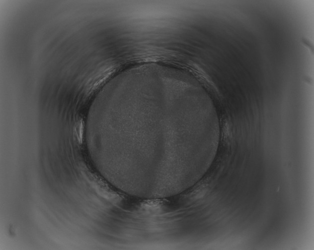 X0000100490076200807031926