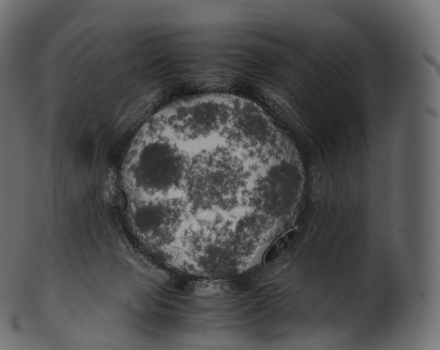 X0000100490077200807031926