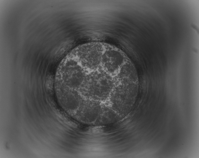 X0000100490078200807031926