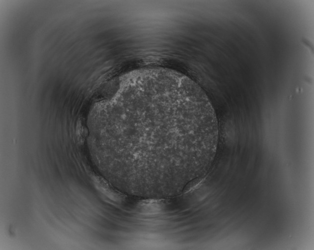 X0000100490082200807031926