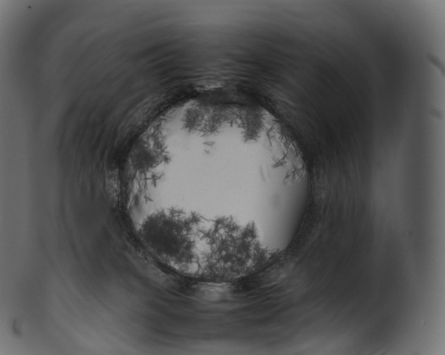 X0000100490085200807031926