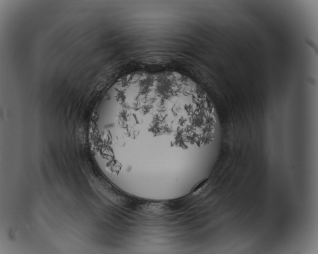 X0000100490086200807031926