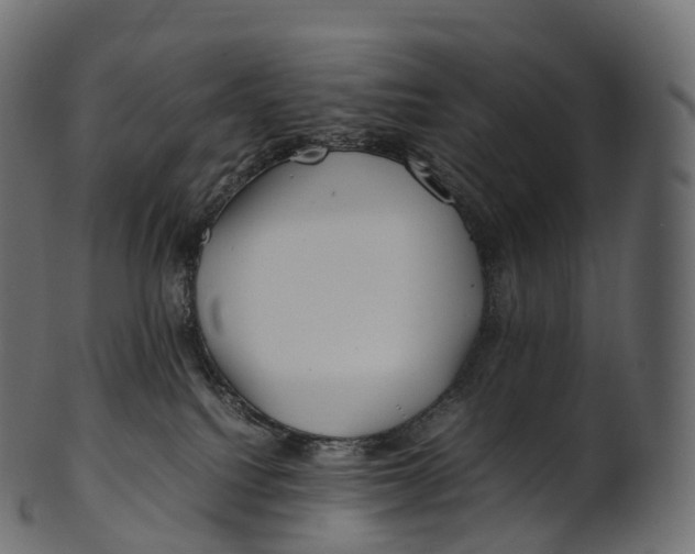 X0000100490088200807031926