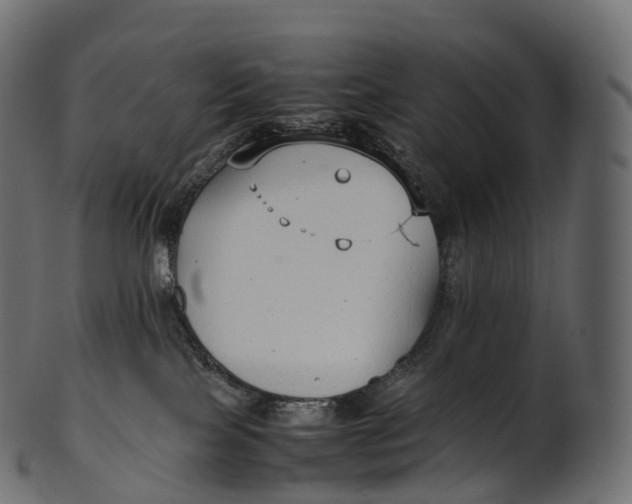 X0000100490089200807031926