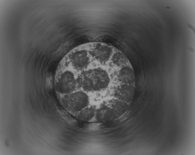 X0000100490090200807031927