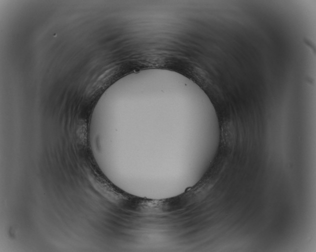 X0000100490092200807031927